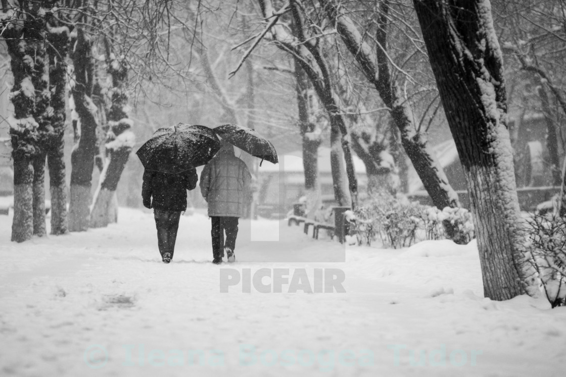 "Snowing urban landscape" stock image