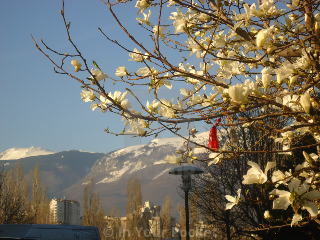 "Sofia: Spring view onto Vitosha Mountain" by In Your Pocket - $3.06 "Sofia: Spring view onto Vitosha Mountain" stock image