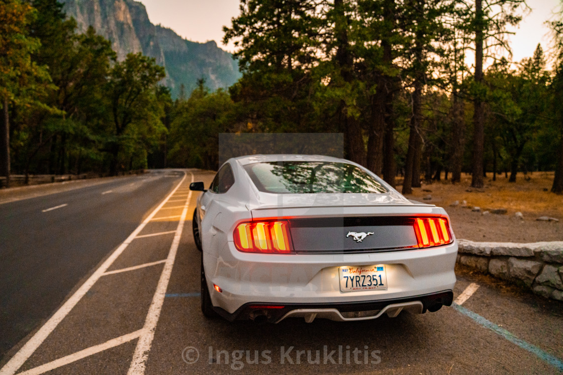 Beautiful White Ford Mustang Gt Parked License Download