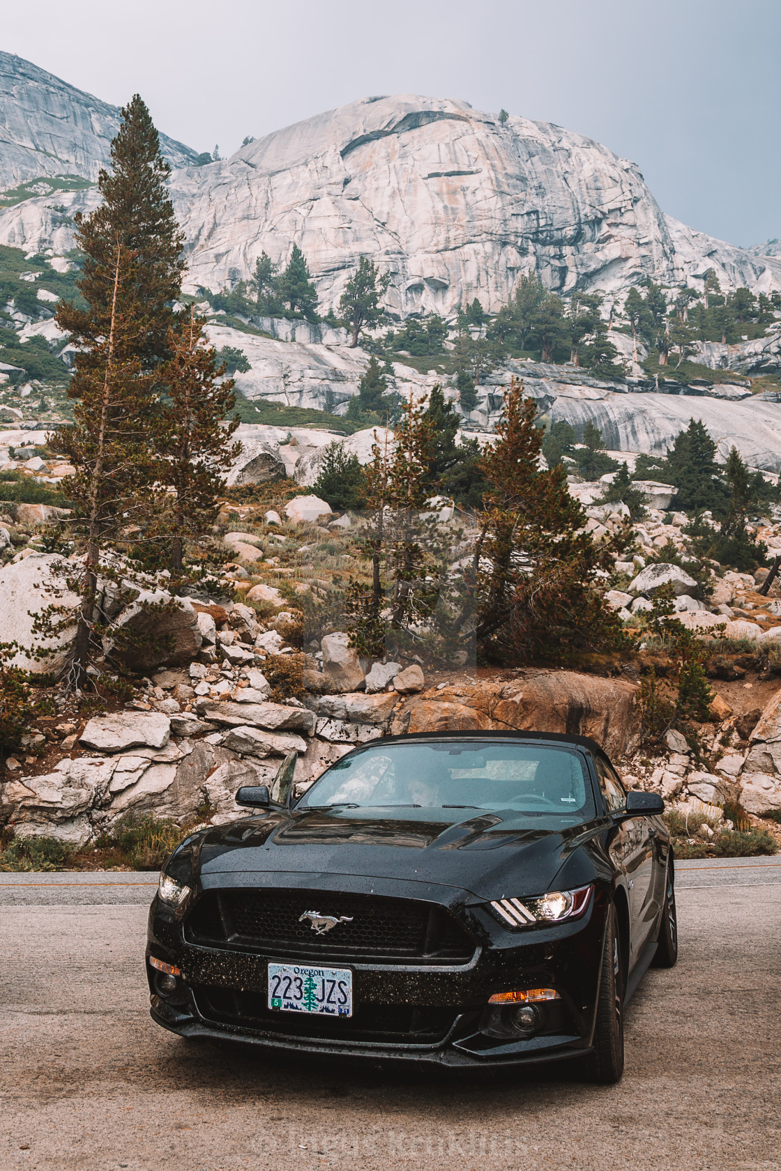 Ford Mustang Gt 50 At Yosemite National Park License