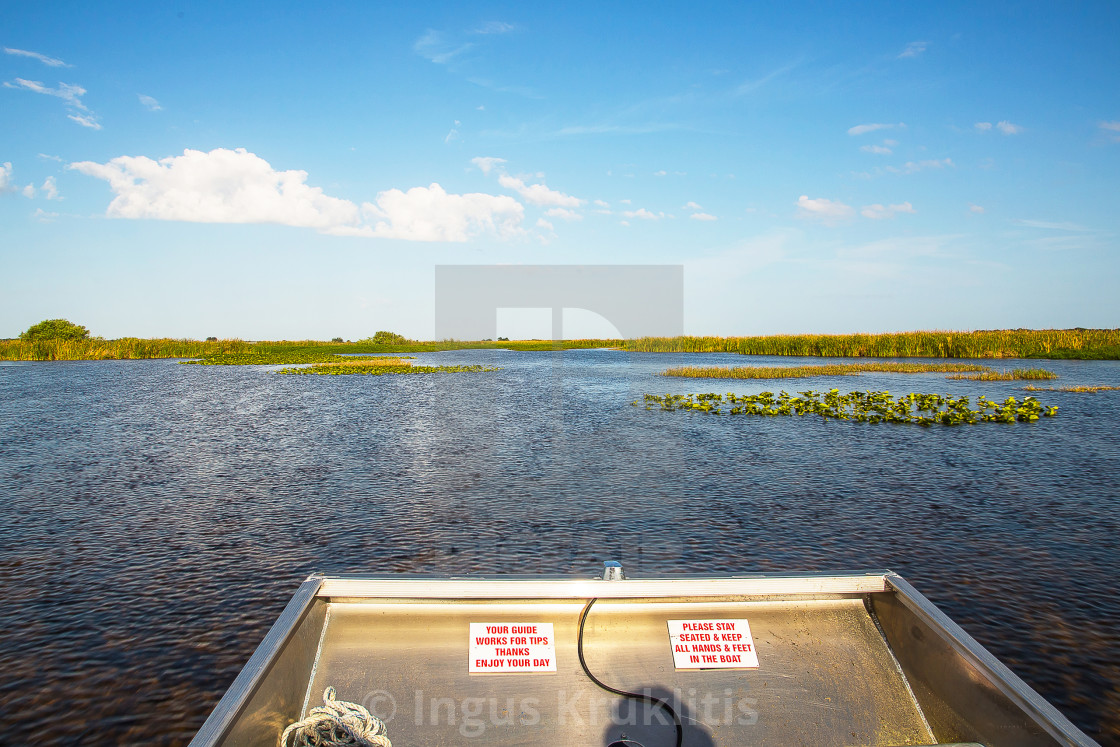 "Airboat in a river near Evergades,Florida. Looking for alligators." stock image