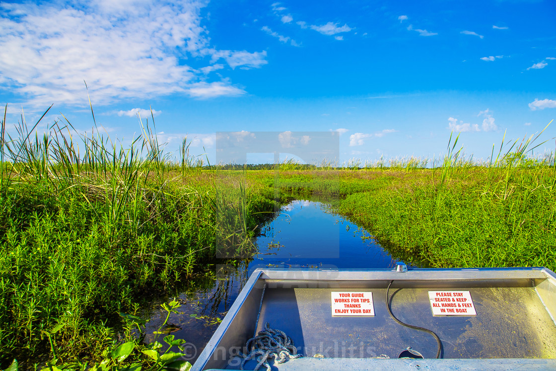 "Airboat in Florida going through the lake looking for alligators" stock image