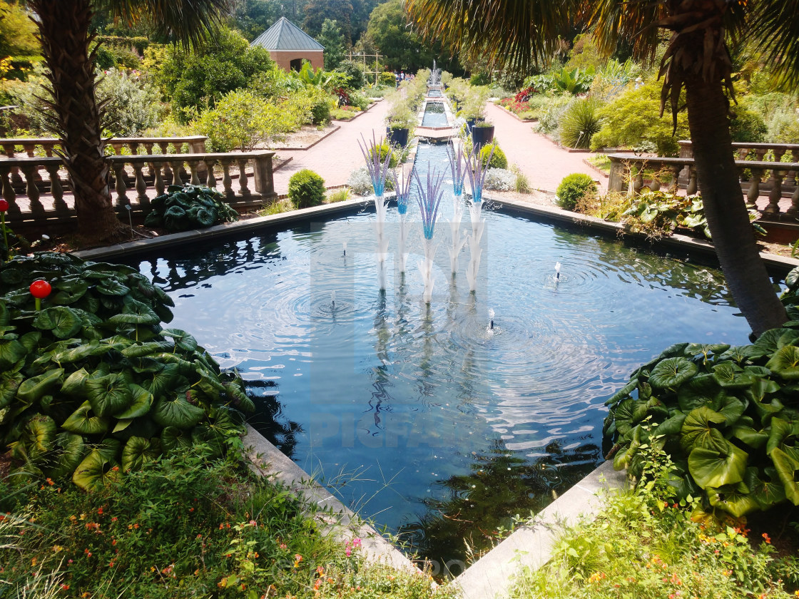 Pond In Garden License Download Or Print For 12 01 Photos