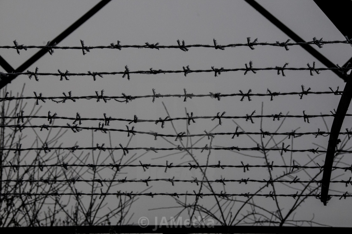 "Barbedwire against trees" stock image