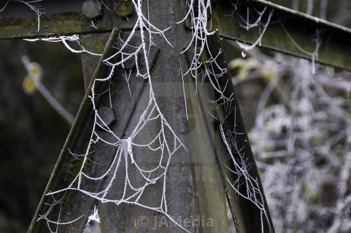 "Frosty spiders web on girders" stock image