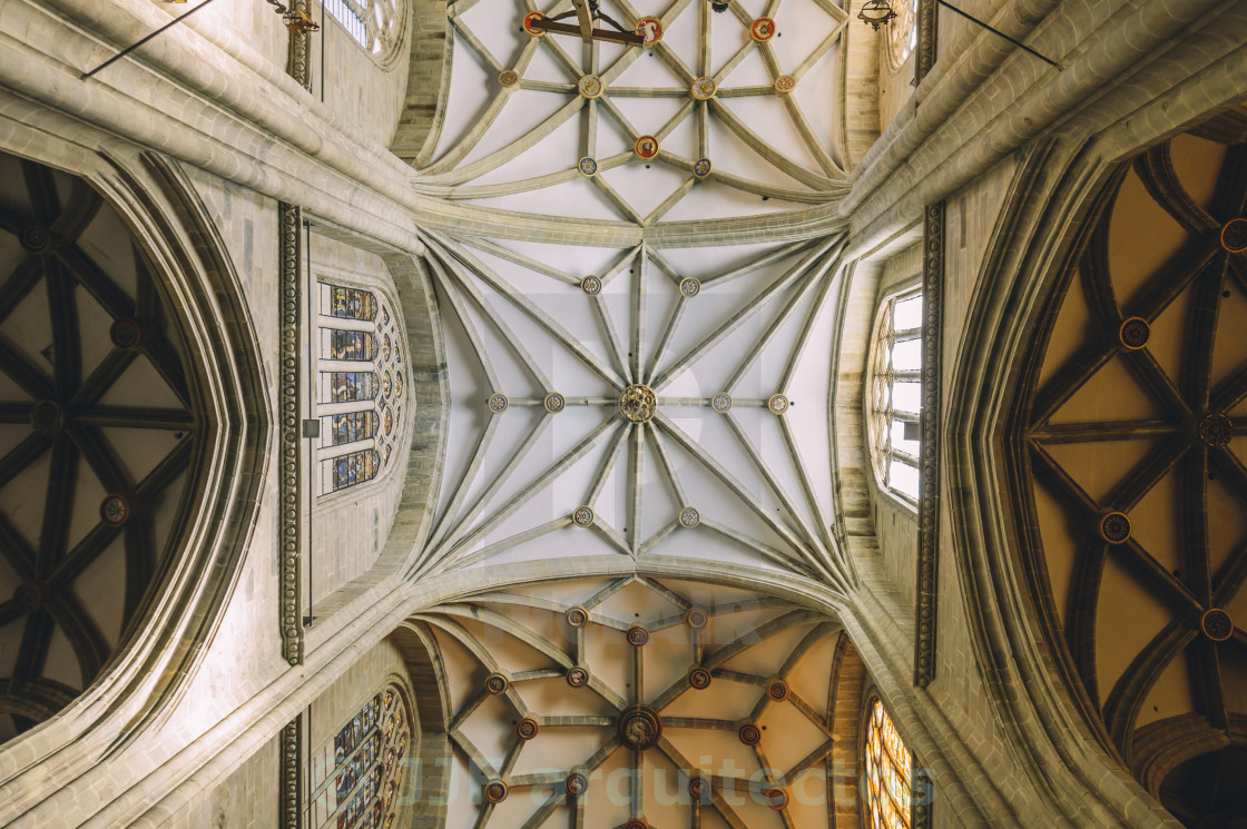 "Cathedral vaults" stock image