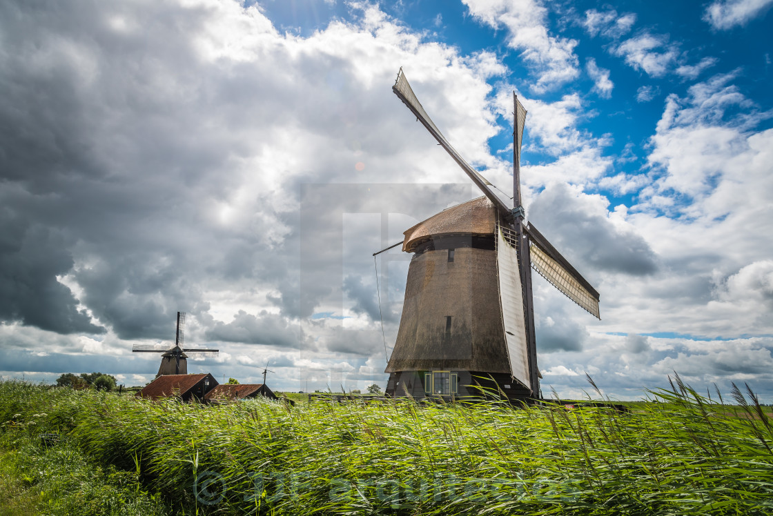 "Windmill in The Netherlands a sunny day" stock image