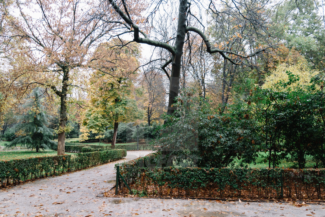 "Retiro Park in Madrid" stock image