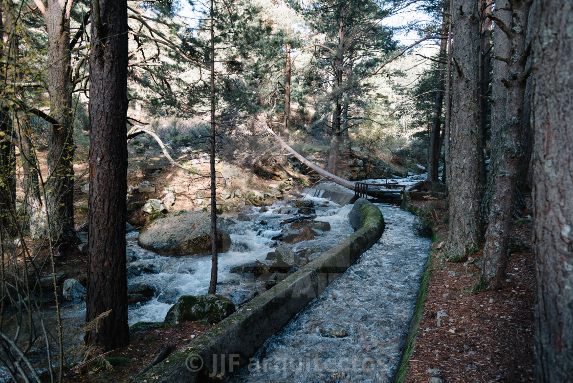 "River of mountain crossing a forest." stock image