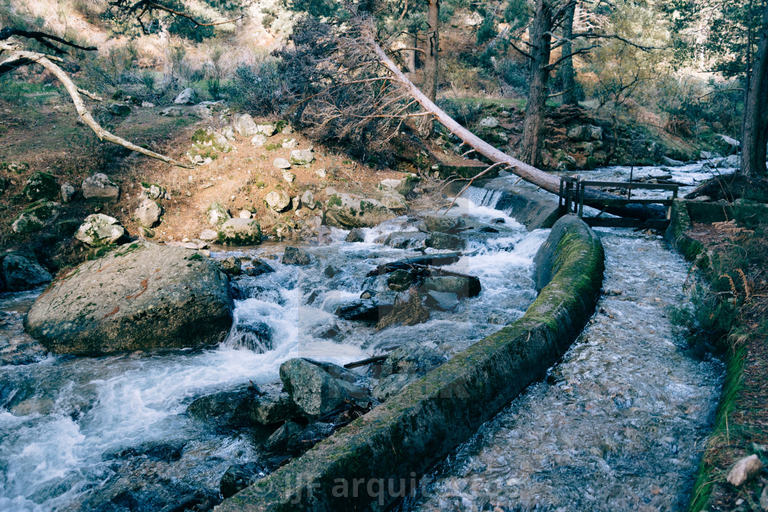 "River of mountain crossing a forest." stock image