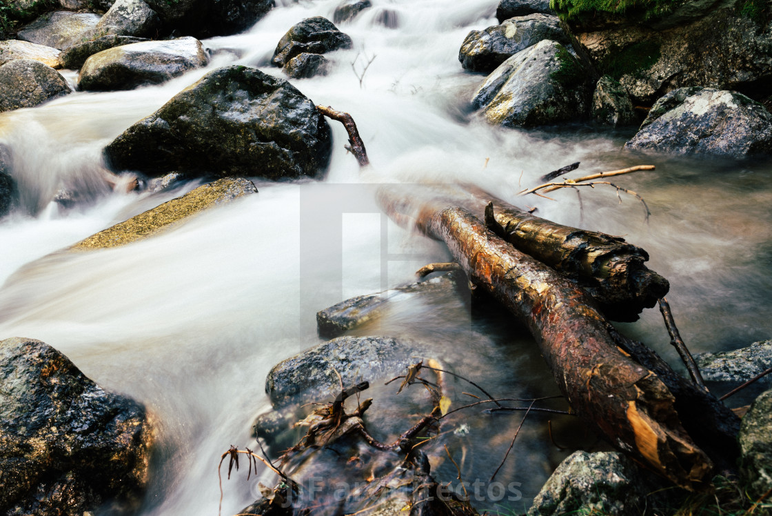 "River of mountain crossing a forest." stock image