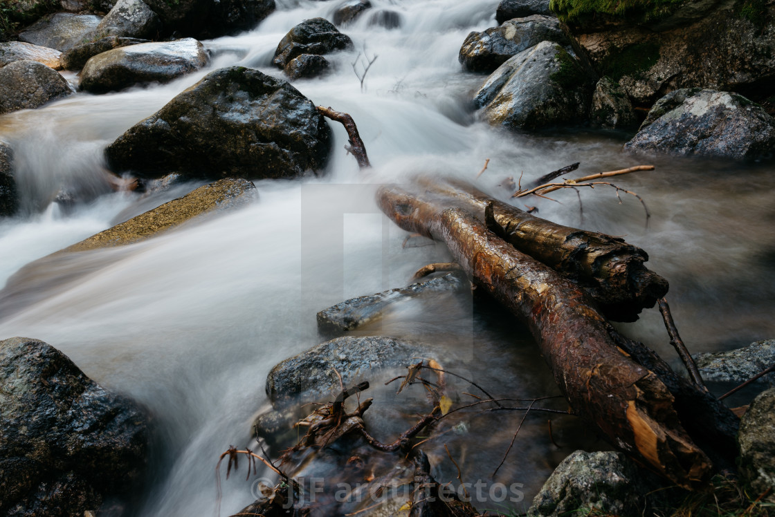 "River of mountain crossing a forest." stock image