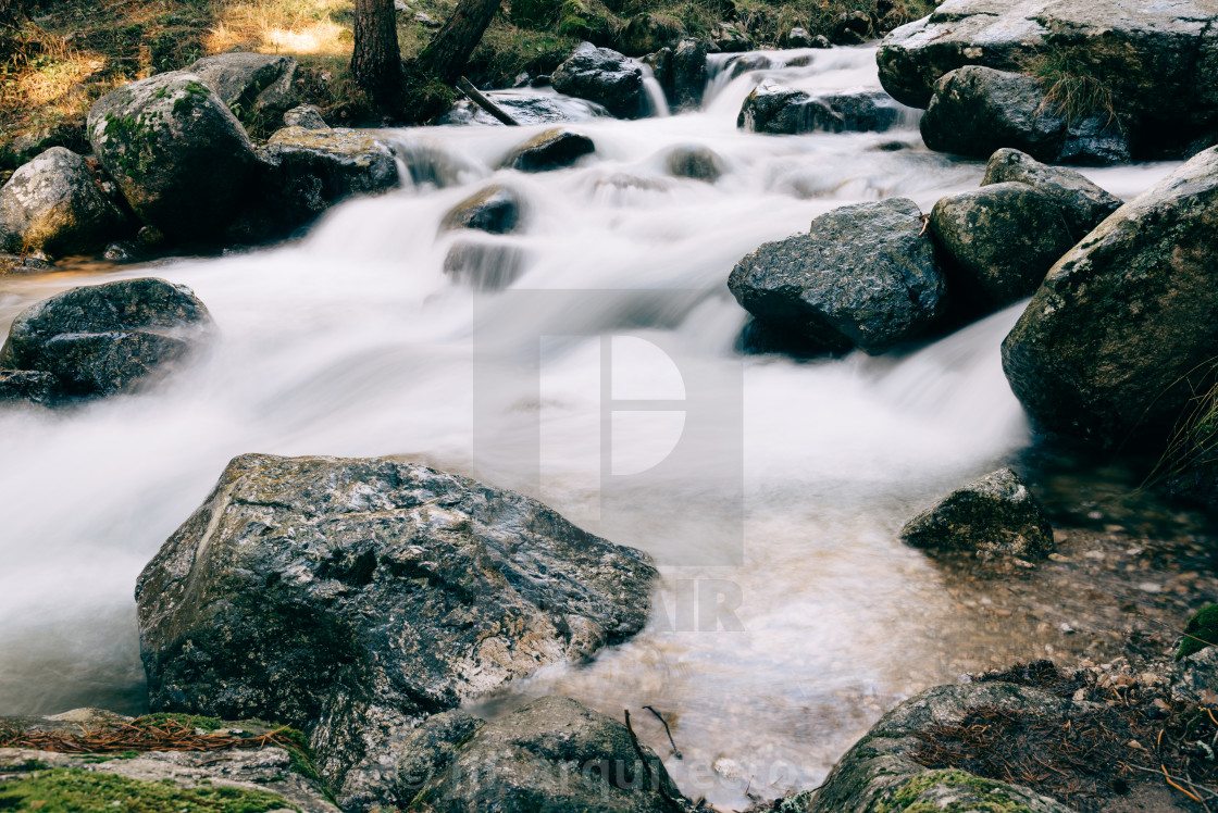 "River of mountain crossing a forest." stock image