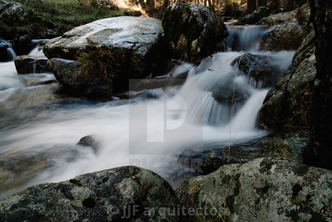 "River of mountain crossing a forest." stock image