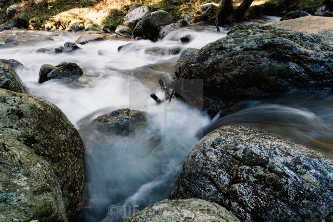 "River of mountain crossing a forest." stock image