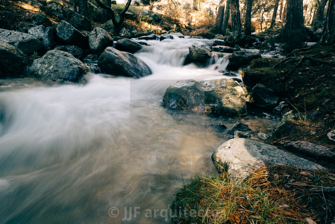 "River of mountain crossing a forest." stock image