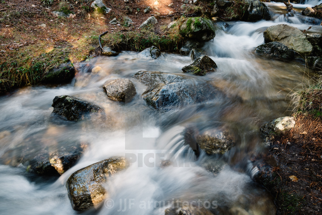 "River of mountain crossing a forest." stock image