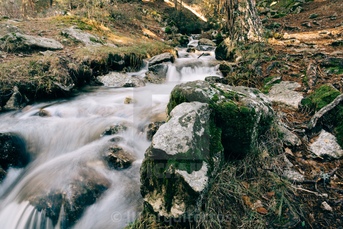 "River of mountain crossing a forest." stock image