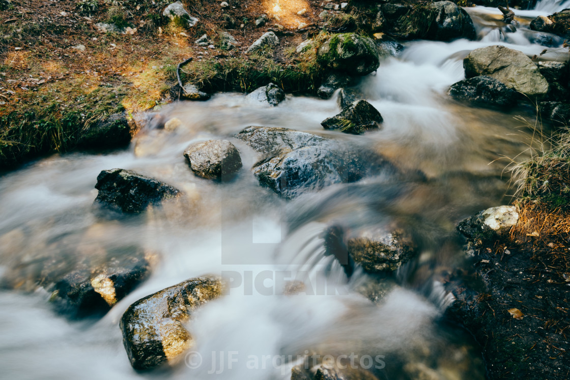 "River of mountain crossing a forest." stock image