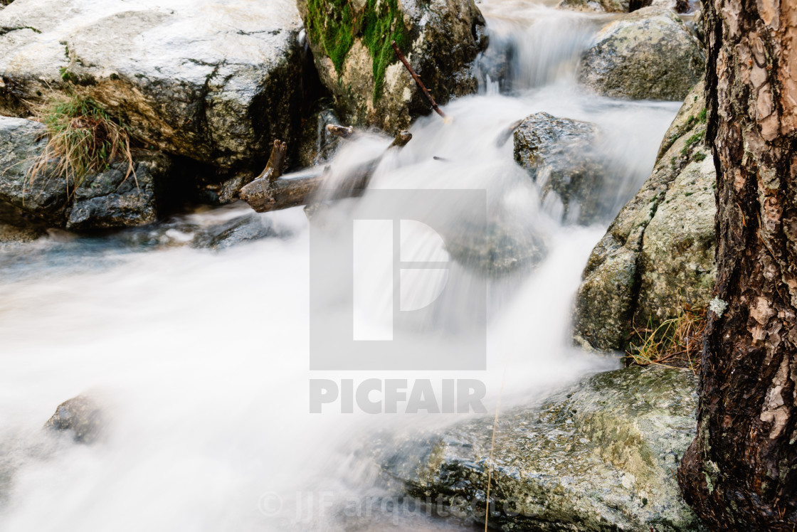 "River of mountain crossing a forest." stock image