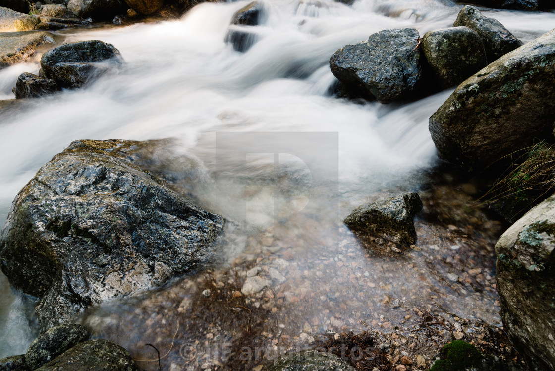 "River of mountain crossing a forest." stock image