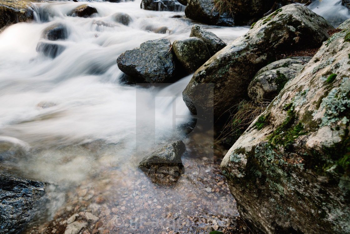 "River of mountain crossing a forest." stock image