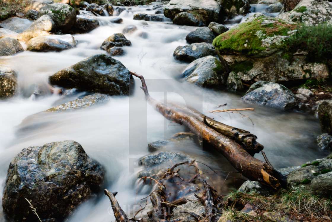 "River of mountain crossing a forest." stock image