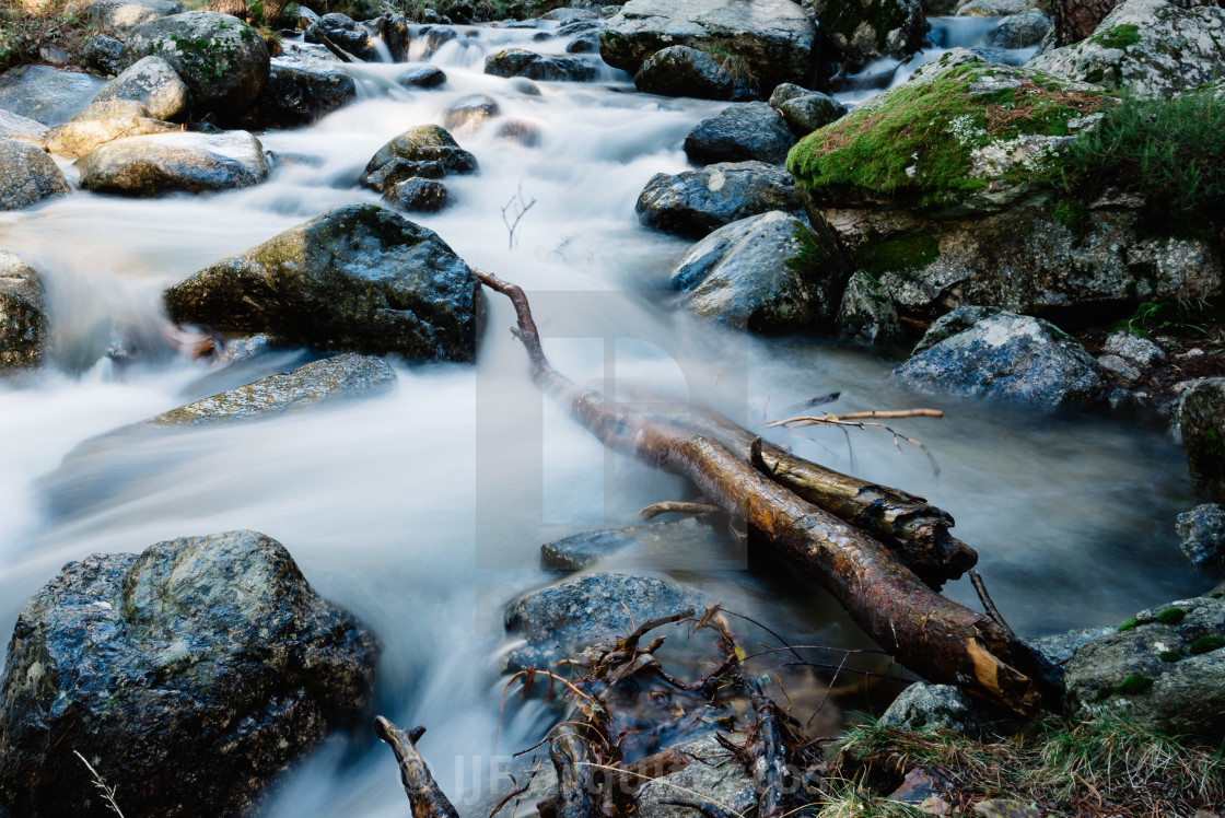 "River of mountain crossing a forest." stock image