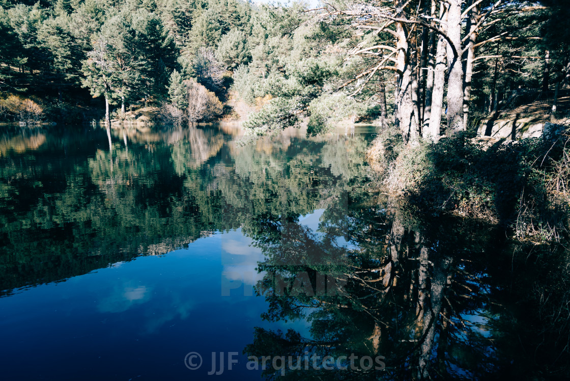 "Reflection Of Trees In Calm Lake" stock image