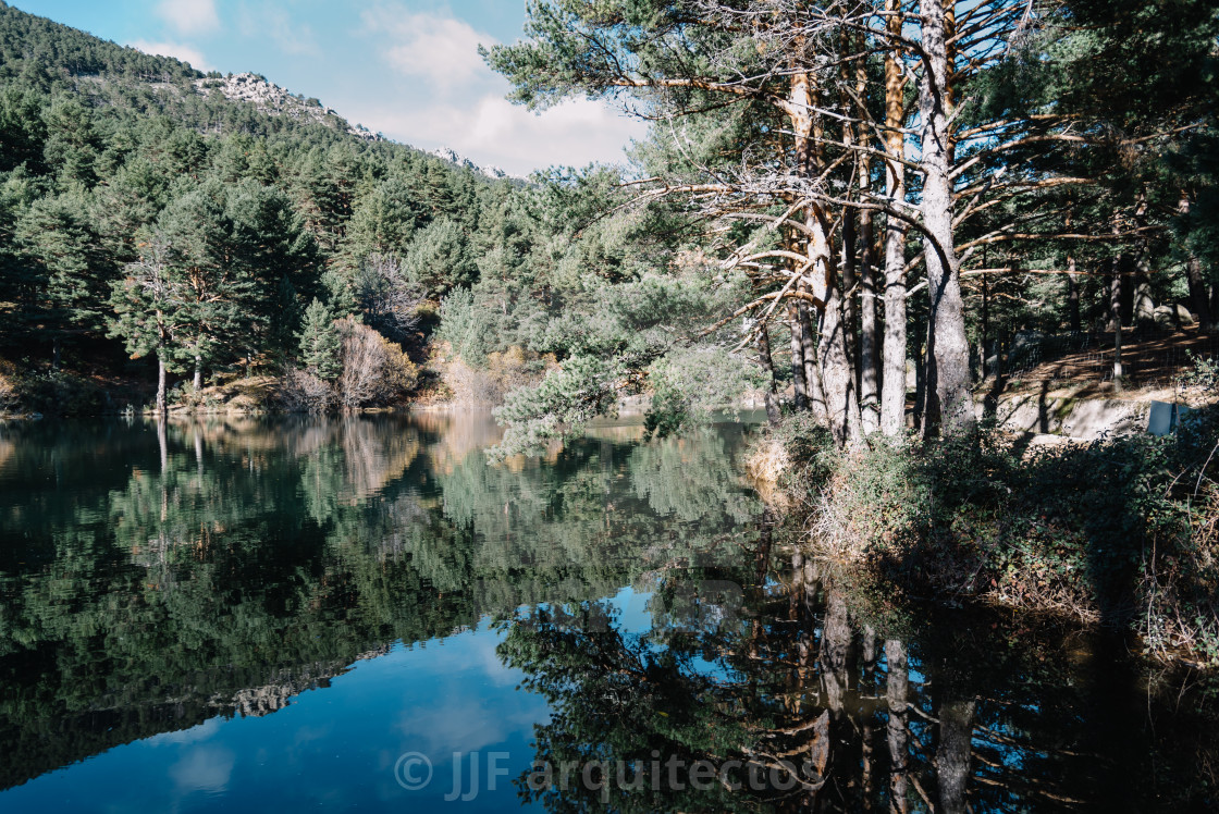 "Reflection Of Trees In Calm Lake" stock image