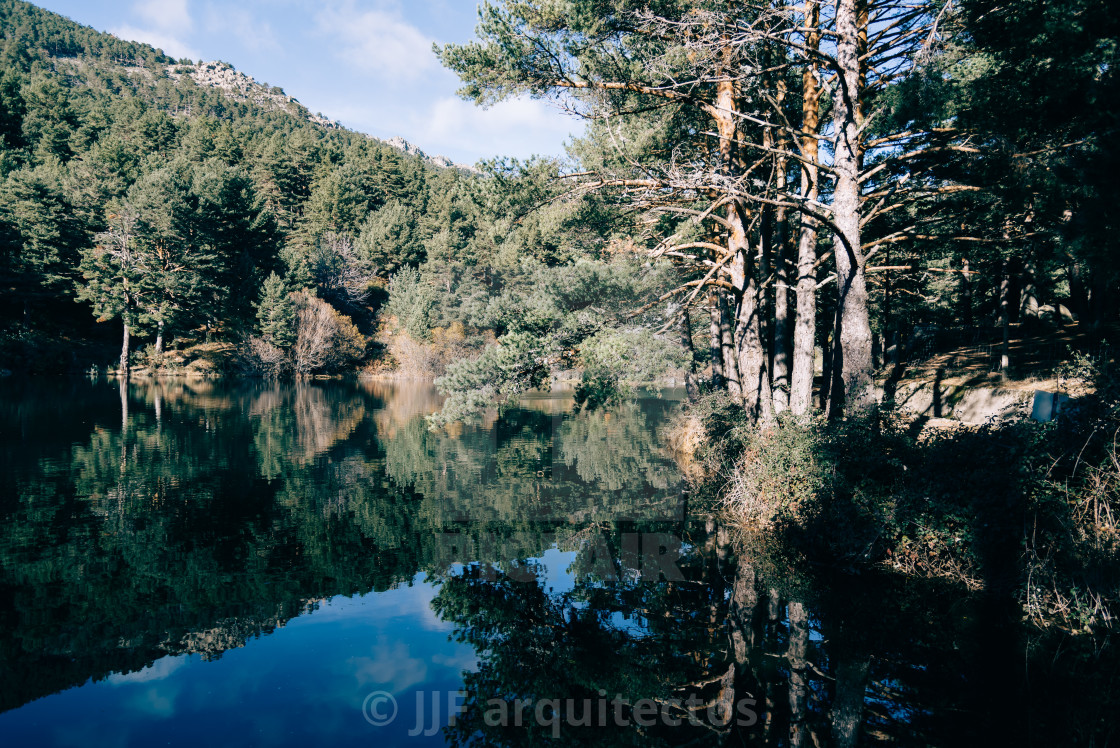 "Reflection Of Trees In Calm Lake" stock image