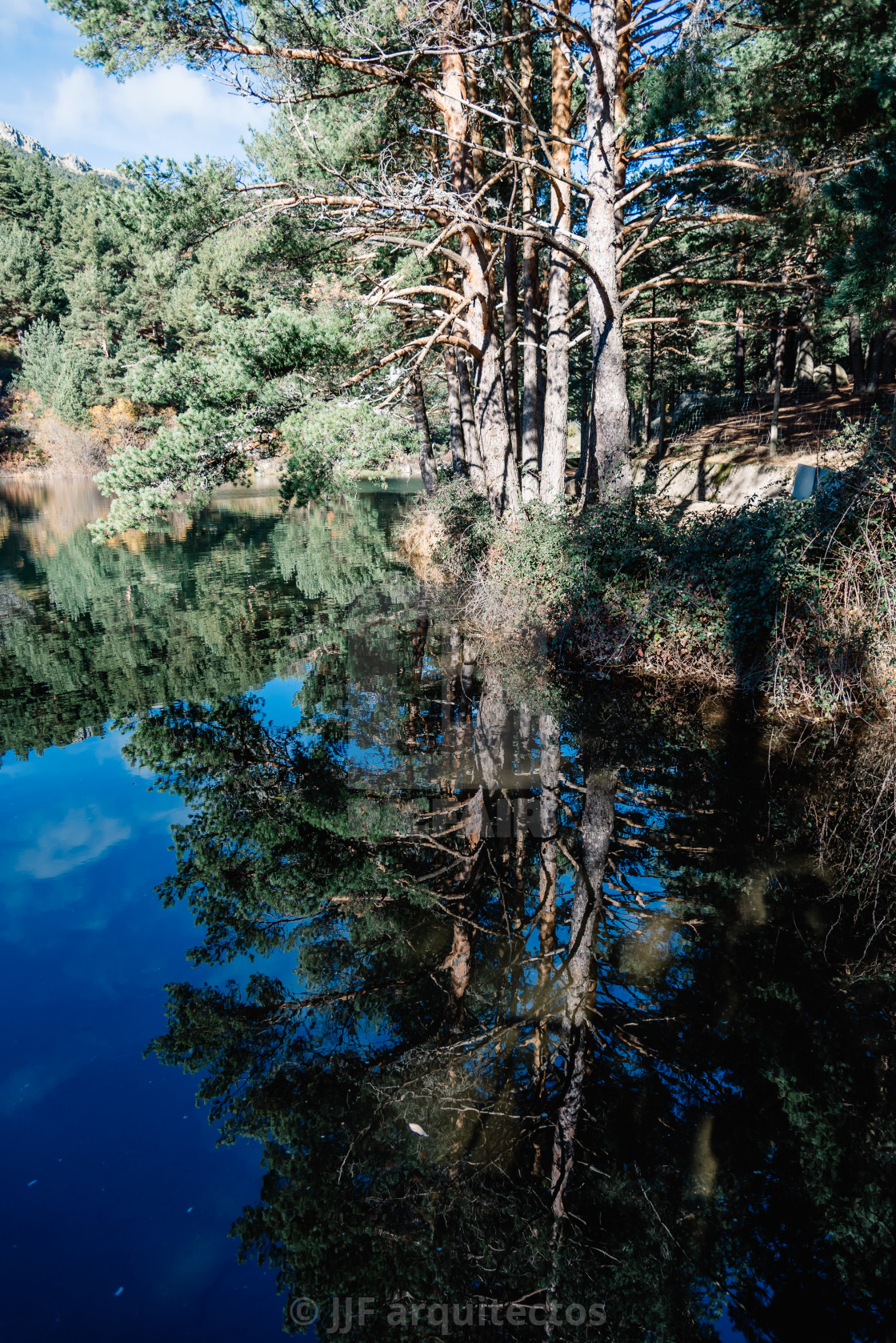 "Reflection Of Trees In Calm Lake" stock image