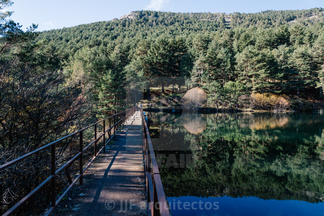 "Reflection Of Trees In Calm Lake" stock image