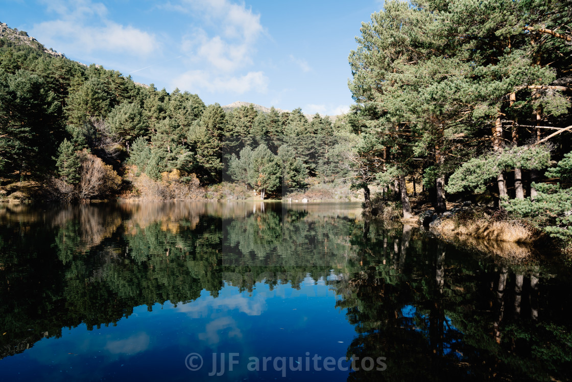 "Reflection Of Trees In Calm Lake" stock image