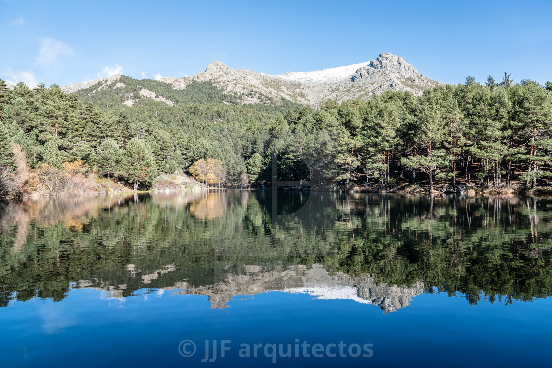 "Reflection Of Trees In Calm Lake" stock image