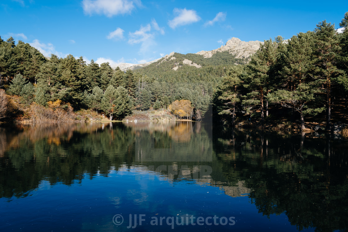 "Reflection Of Trees In Calm Lake" stock image