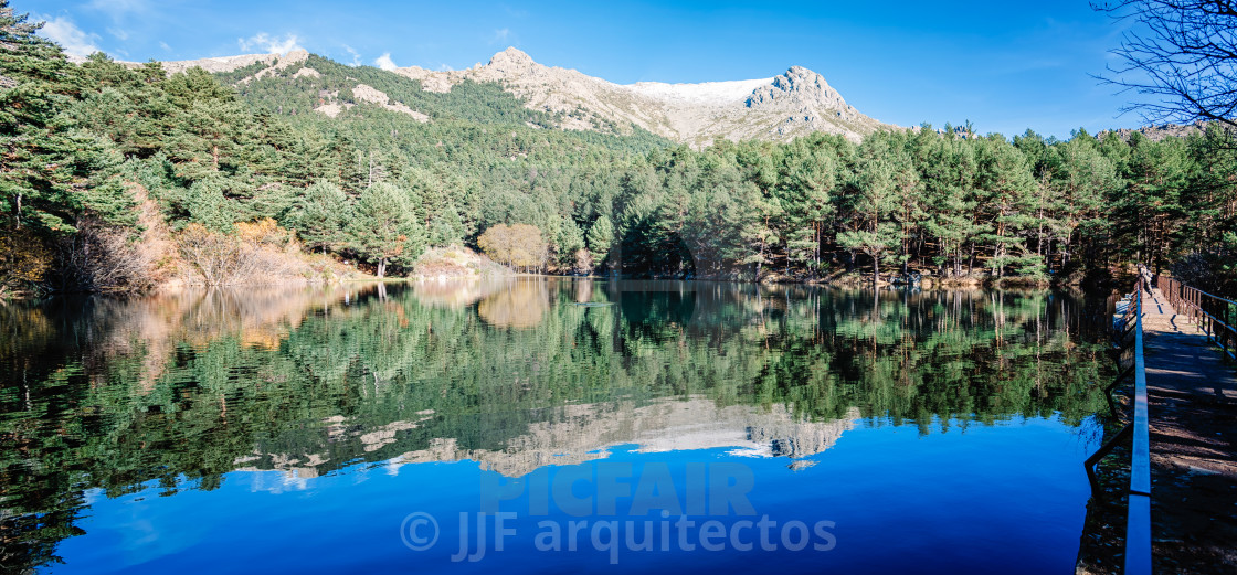 "Reflection Of Trees In Calm Lake" stock image