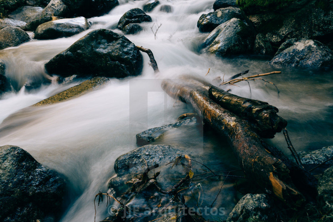 "River of mountain crossing a forest." stock image