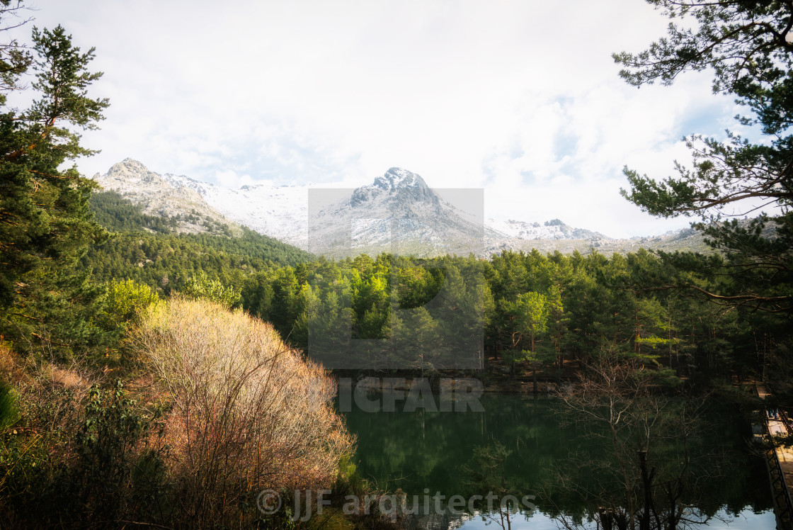 "Reflection Of Trees In Calm Lake" stock image