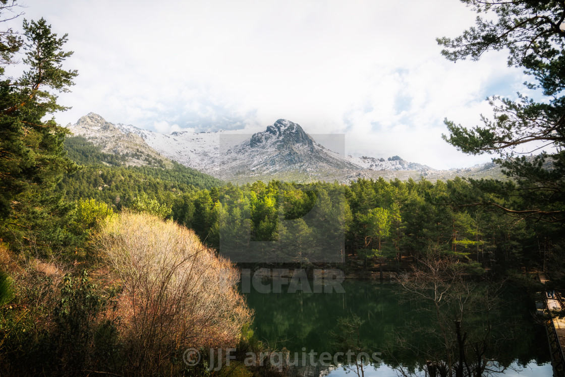 "Scenics woodland and snow capped mountains" stock image