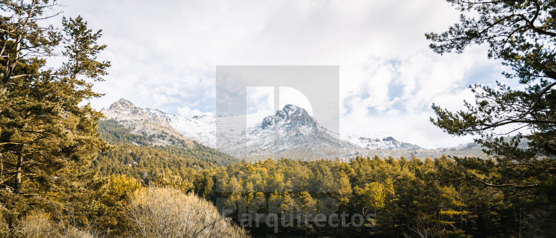 "Reflection Of Trees In Calm Lake" stock image