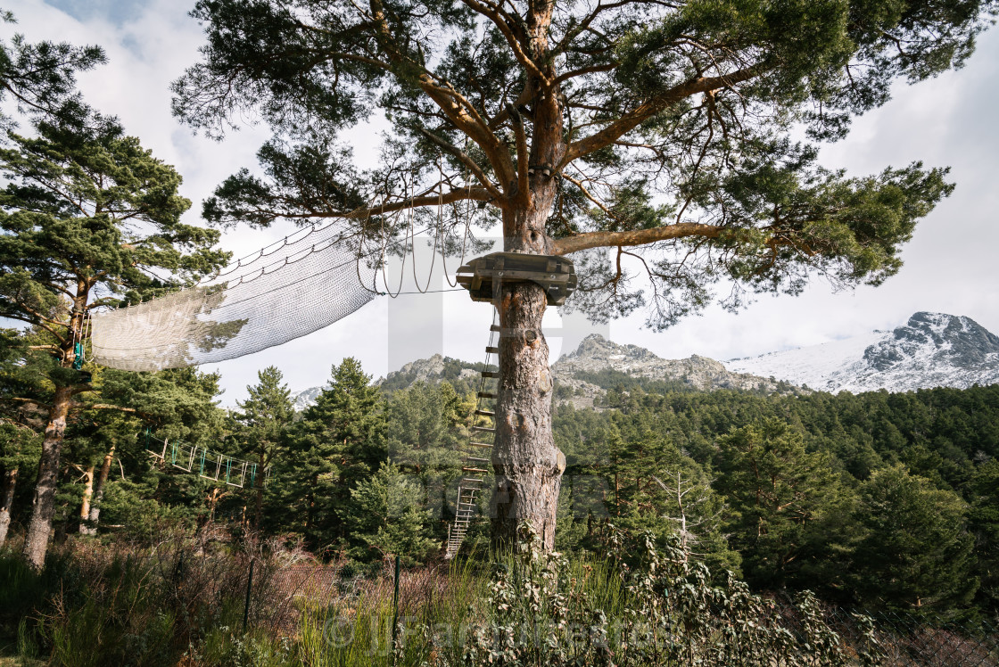 "Woodland and snow capped mountain range" stock image