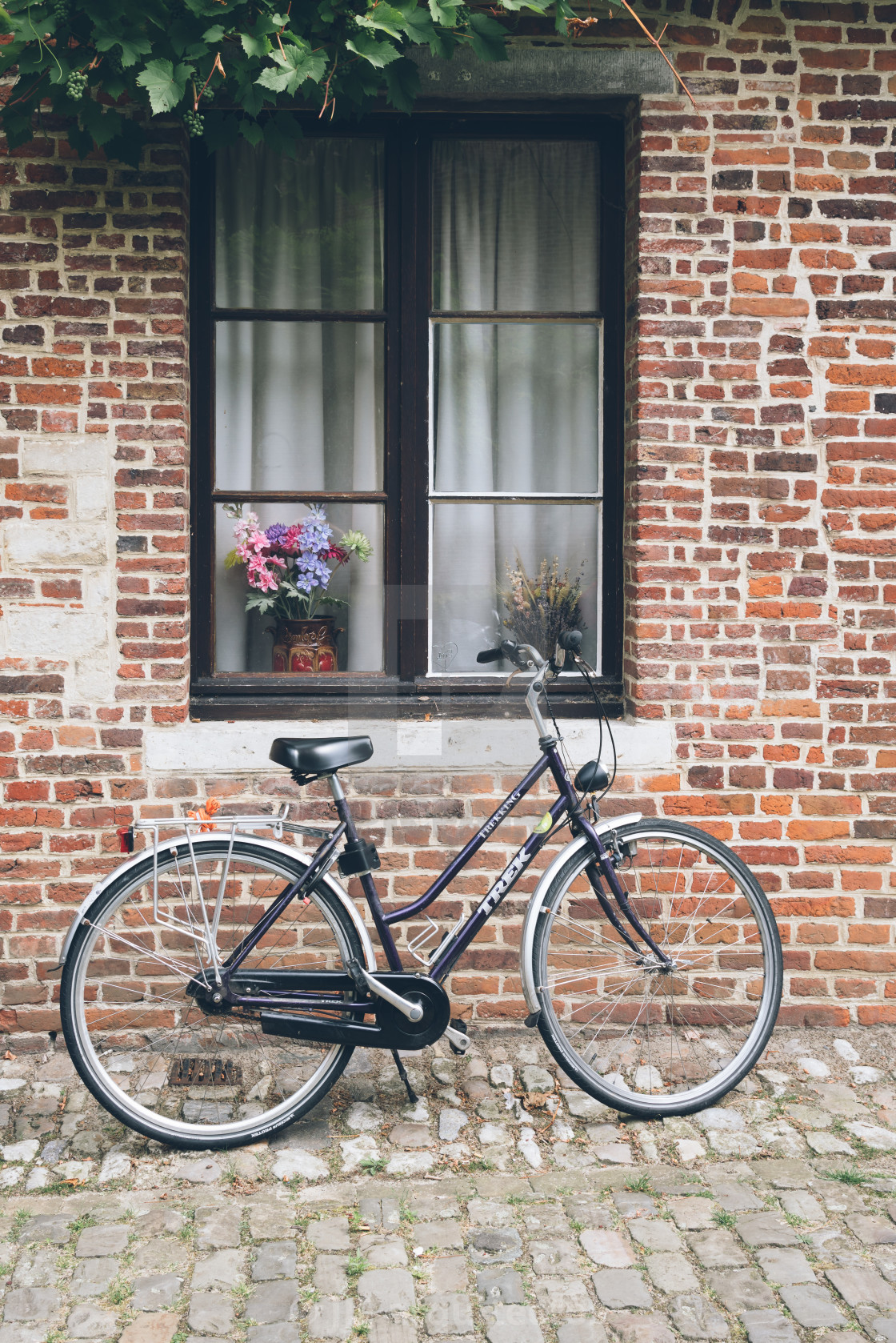 "Bicycle parked in a house" stock image