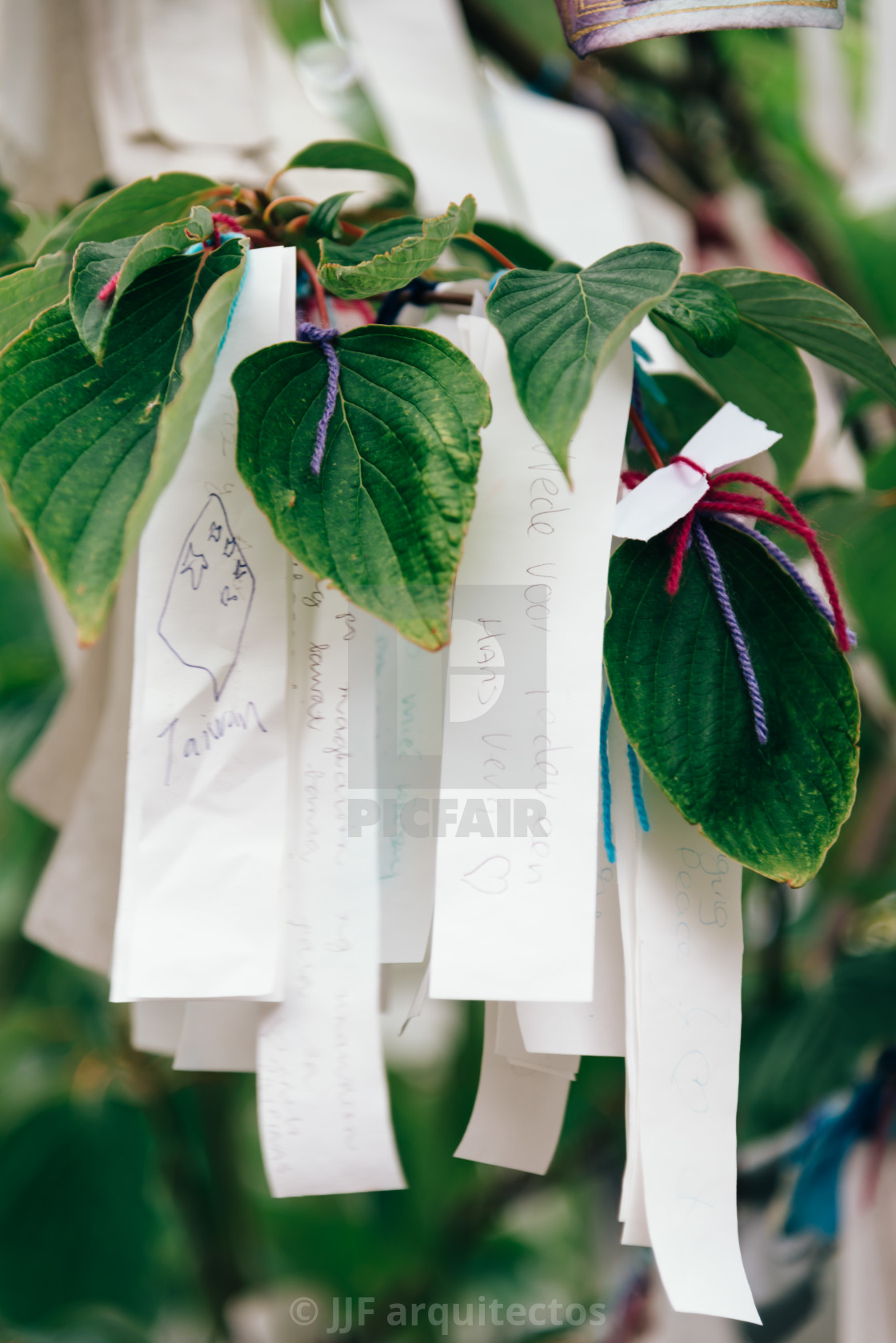 "Wishing tree in front of Peace Palace" stock image