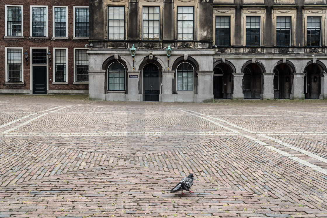 "Binnenhof buildings in The Hague" stock image