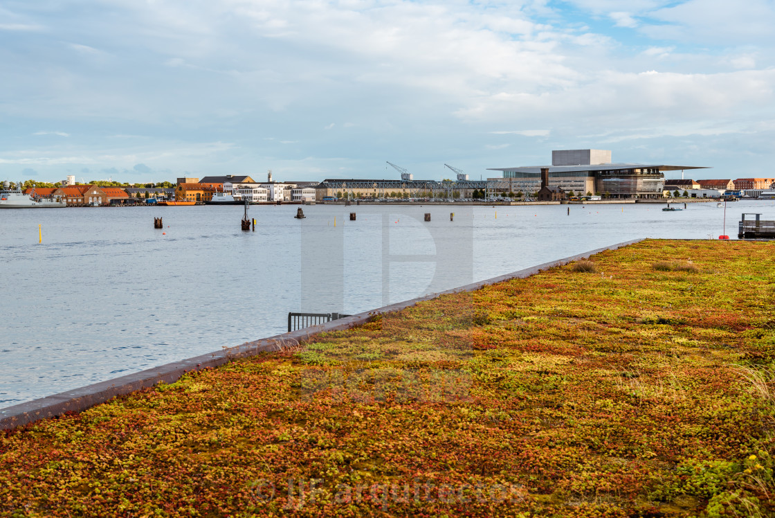 "Skyline of the waterfront of Copenhagen with Opera building near" stock image