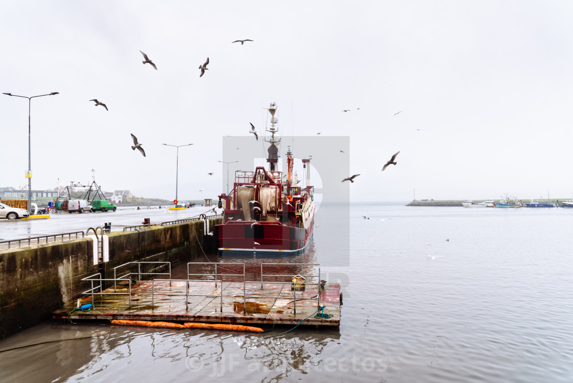 "Fishing boat moored on harbor with seagulls" stock image