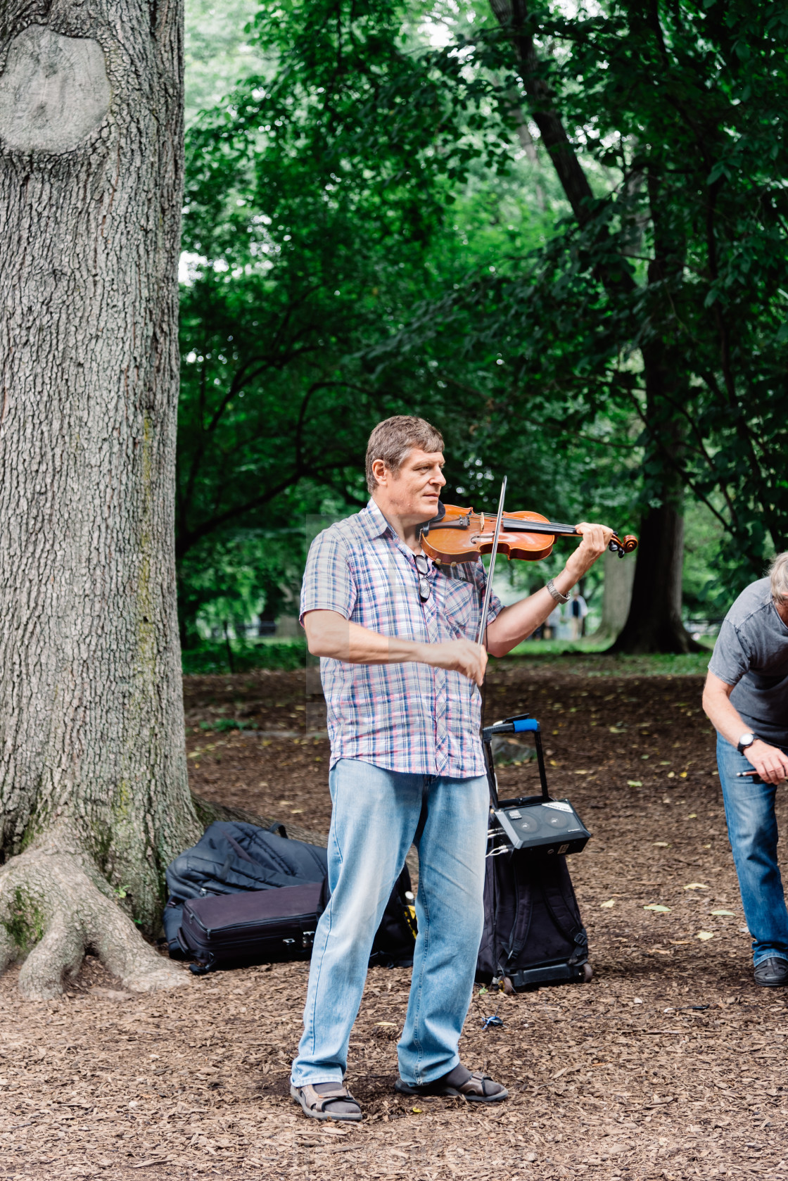 "Man playing violin in Central Park in New York" stock image