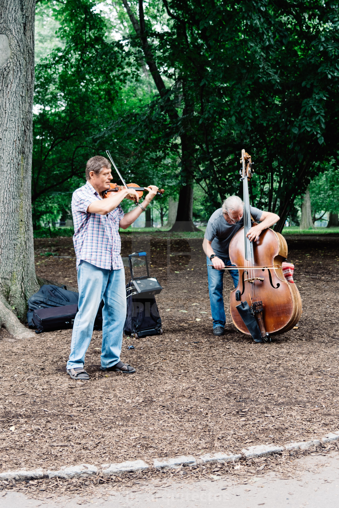 "Men playing cello and violin in Central Park in New York" stock image