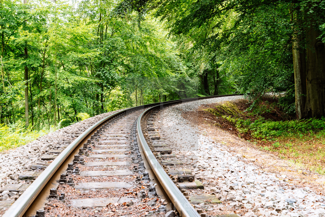 "Narrow-gauge railway in woodland area of Granitz in Rugen Island, Germany" stock image